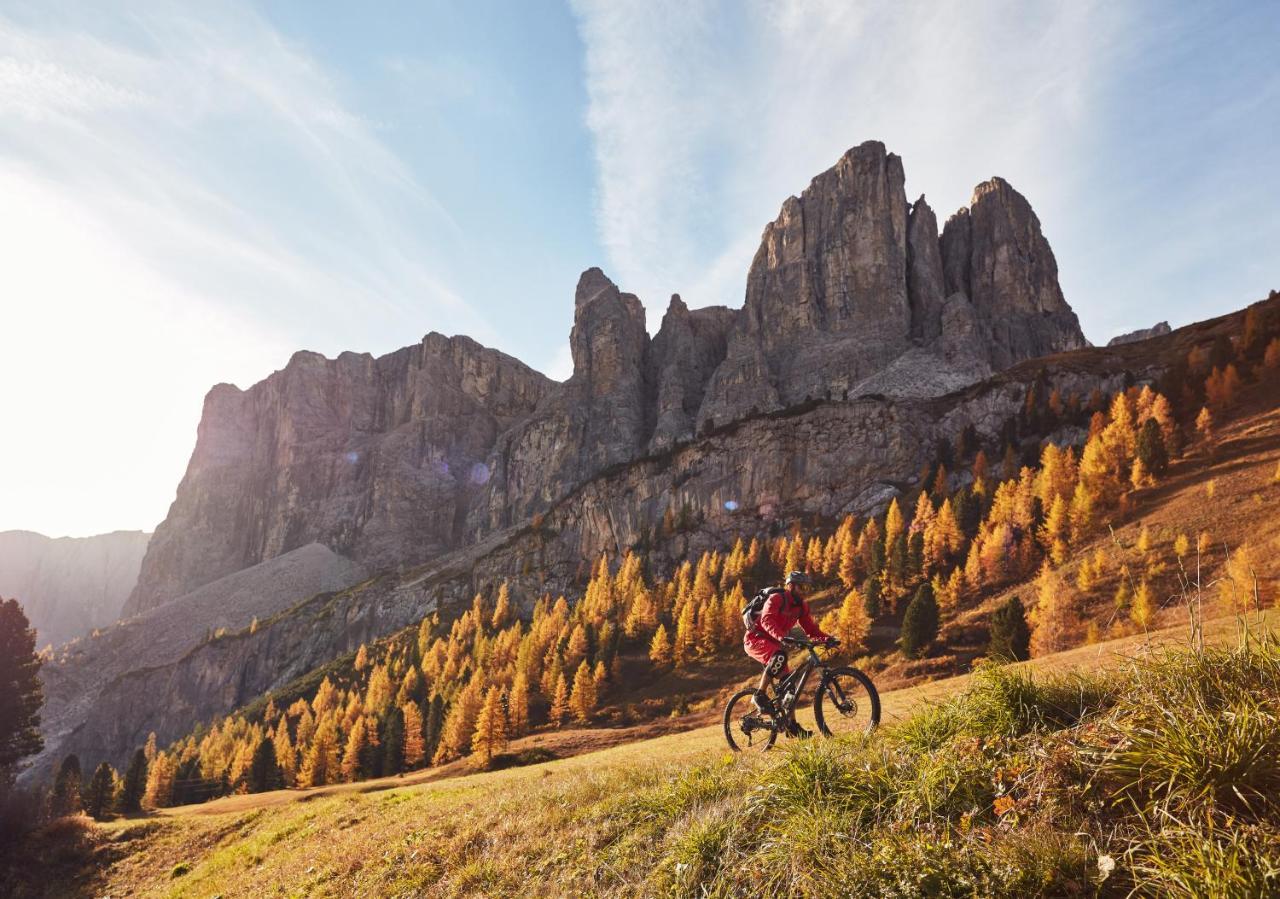 Chalet Elisabeth Dolomites Alpin & Charme Selva di Val Gardena Zewnętrze zdjęcie