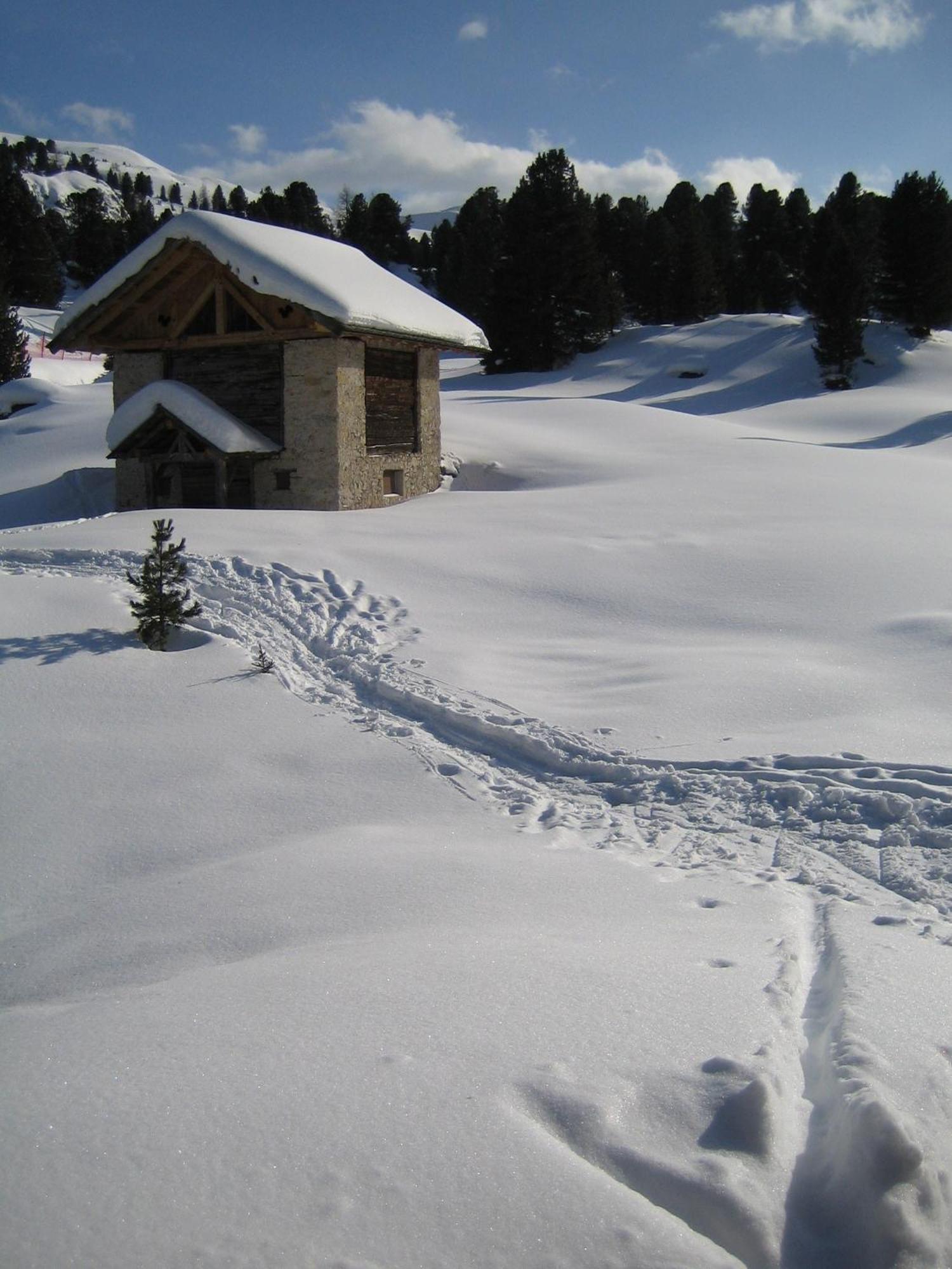 Chalet Elisabeth Dolomites Alpin & Charme Selva di Val Gardena Zewnętrze zdjęcie