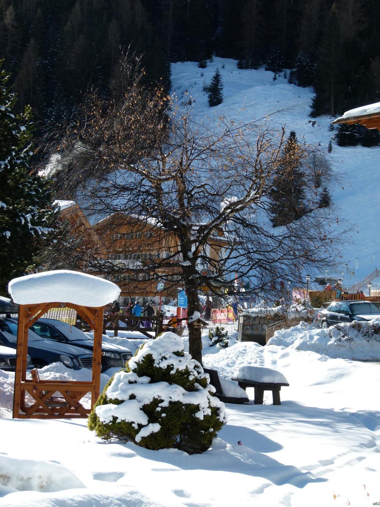 Chalet Elisabeth Dolomites Alpin & Charme Selva di Val Gardena Zewnętrze zdjęcie