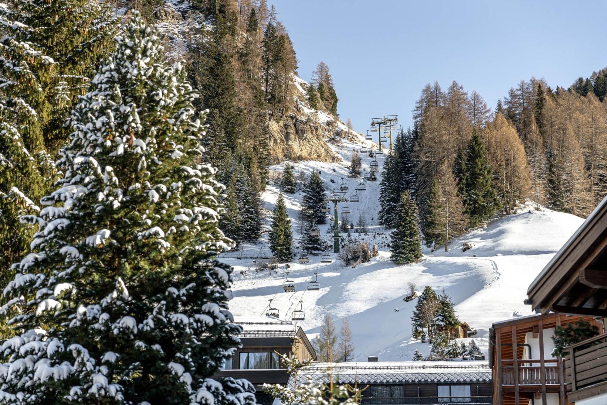 Chalet Elisabeth Dolomites Alpin & Charme Selva di Val Gardena Zewnętrze zdjęcie